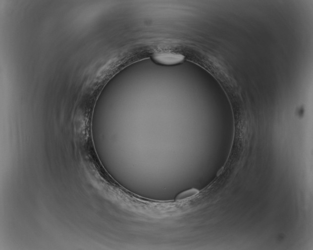 X0000116580031200912101550