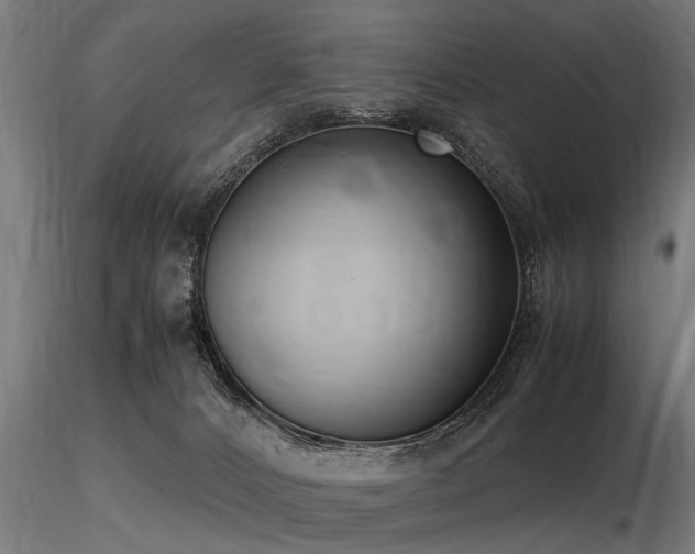 X0000116580032200912101550