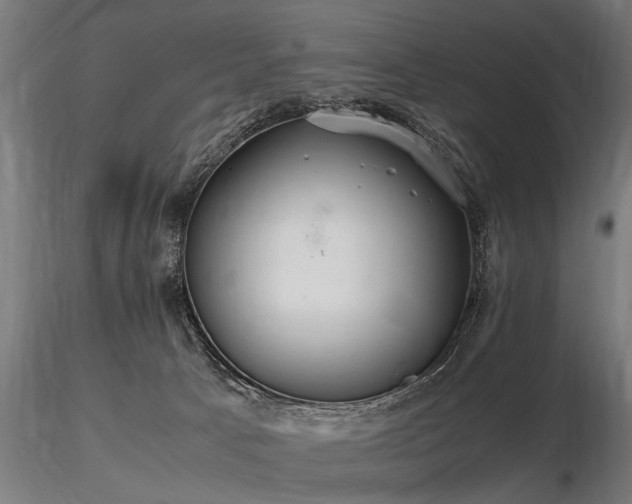 X0000116580033200912101550