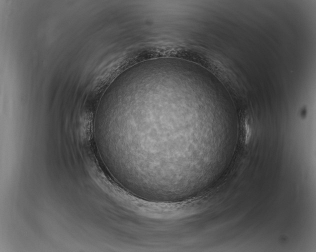 X0000116580034200912101550