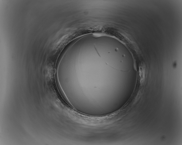 X0000116580035200912101550