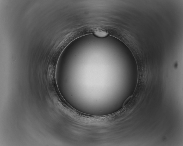 X0000116580036200912101550