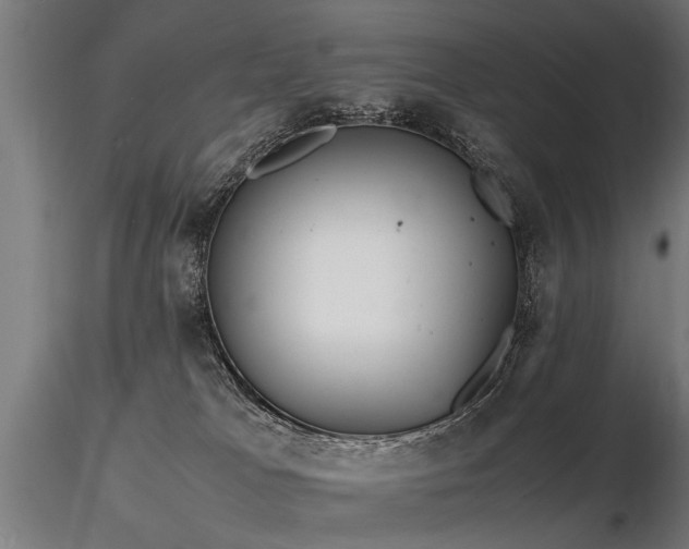 X0000116580037200912101550