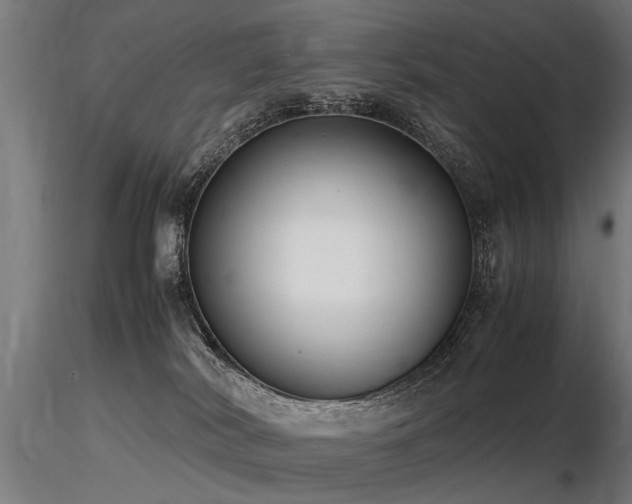 X0000116580038200912101550