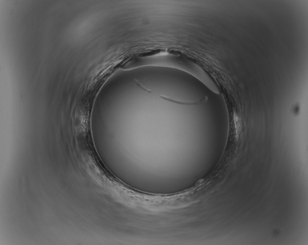 X0000116580039200912101550