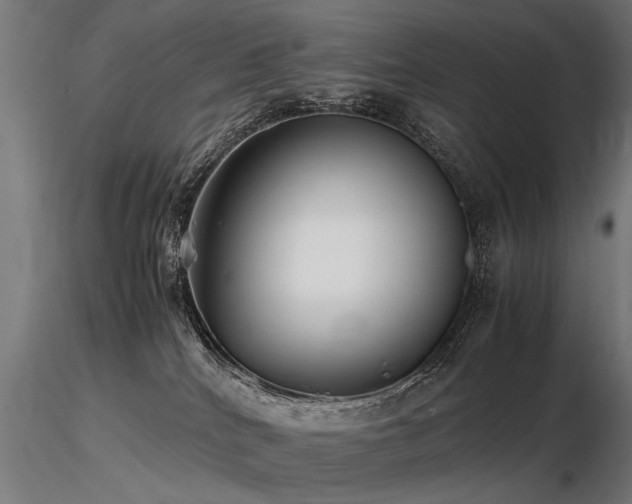 X0000116580040200912101550