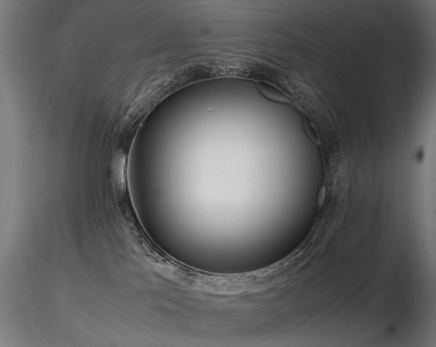 X0000116580041200912101550