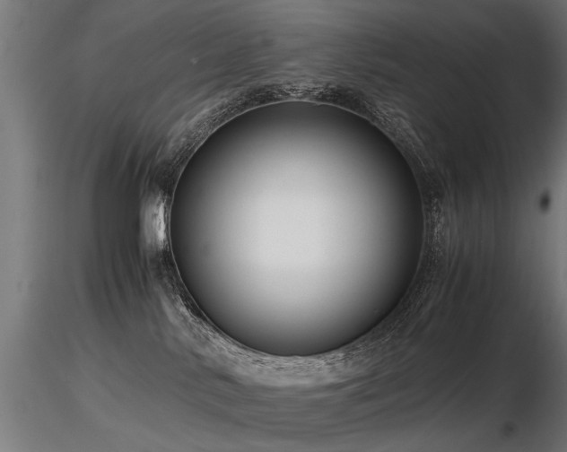 X0000116580042200912101550