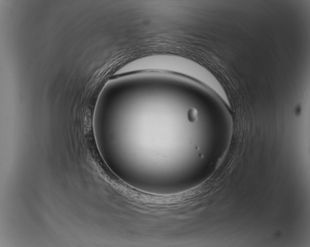 X0000116580043200912101550