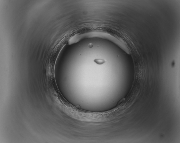 X0000116580044200912101550