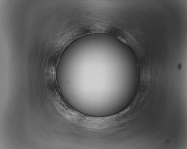 X0000116580045200912101550