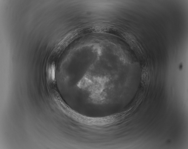 X0000116580046200912101550