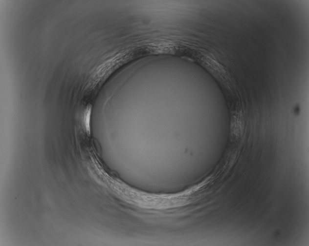 X0000116580047200912101550