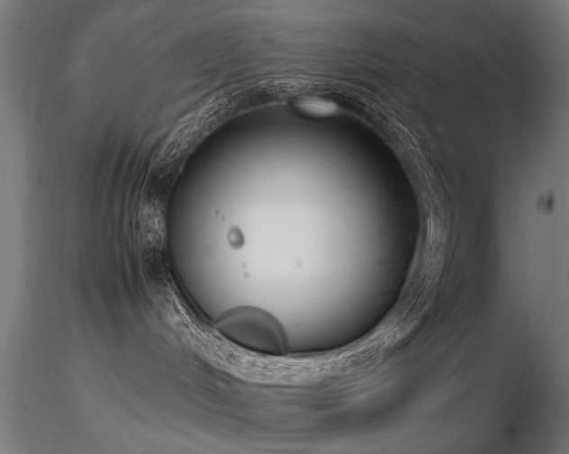 X0000116580048200912101550