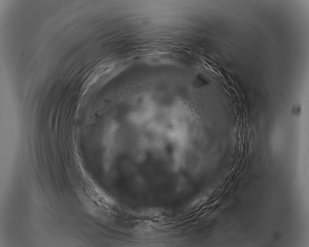 X0000116580049200912101549