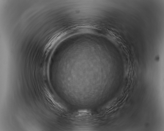 X0000116580050200912101549