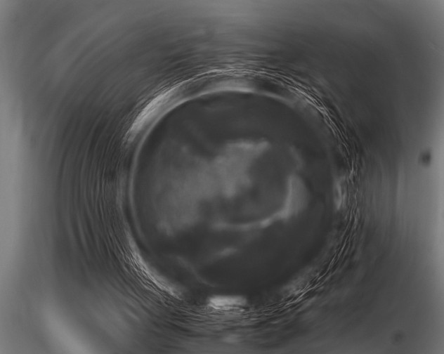 X0000116580051200912101549