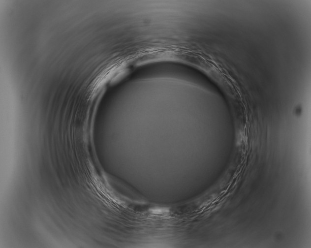 X0000116580052200912101549