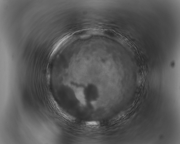 X0000116580053200912101549