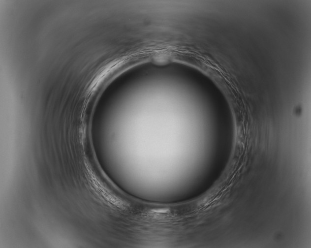 X0000116580054200912101549