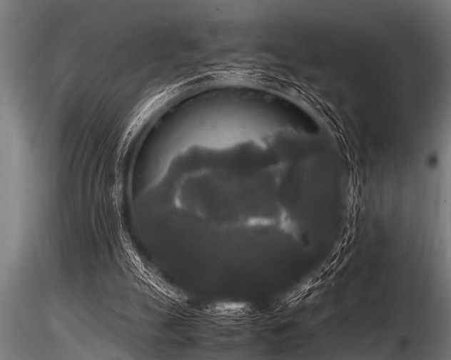 X0000116580055200912101549