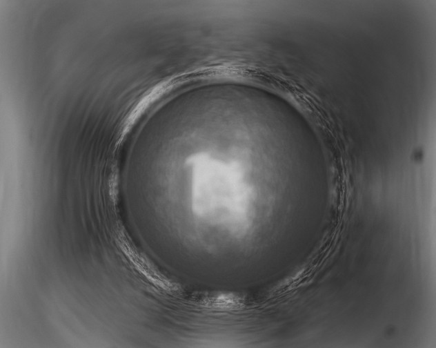 X0000116580056200912101549