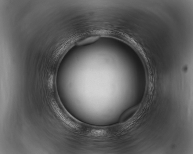 X0000116580057200912101549