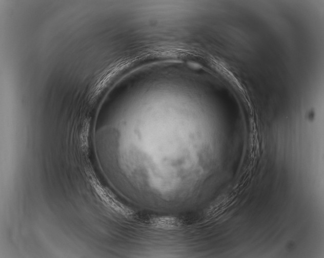 X0000116580058200912101549