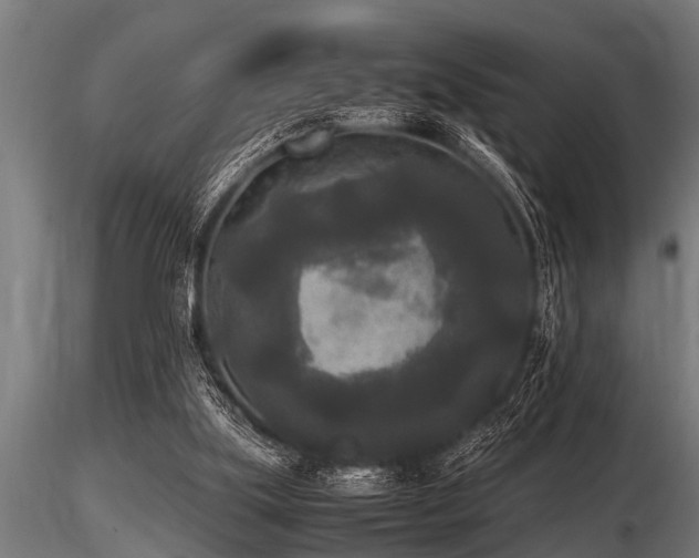 X0000116580059200912101549