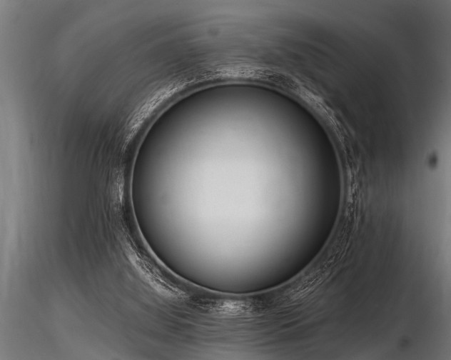 X0000116580060200912101549