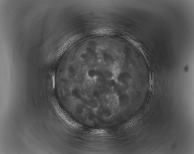 X0000116580061200912101549