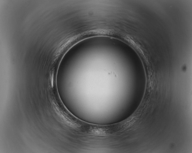 X0000116580062200912101549