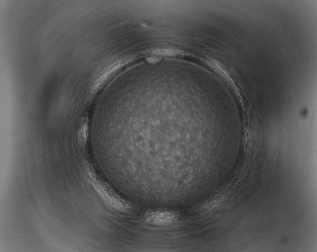 X0000116580063200912101549