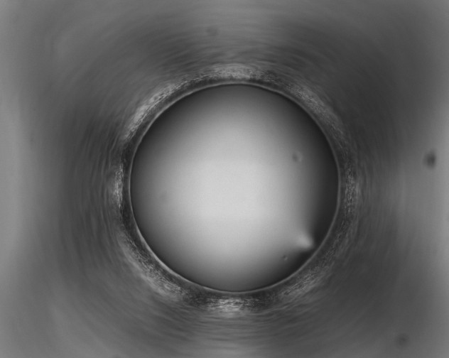 X0000116580064200912101549