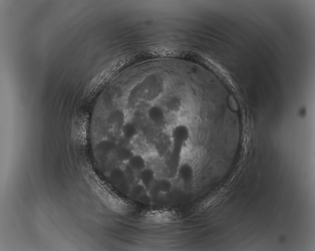 X0000116580065200912101549