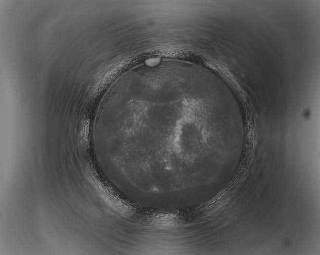 X0000116580066200912101549