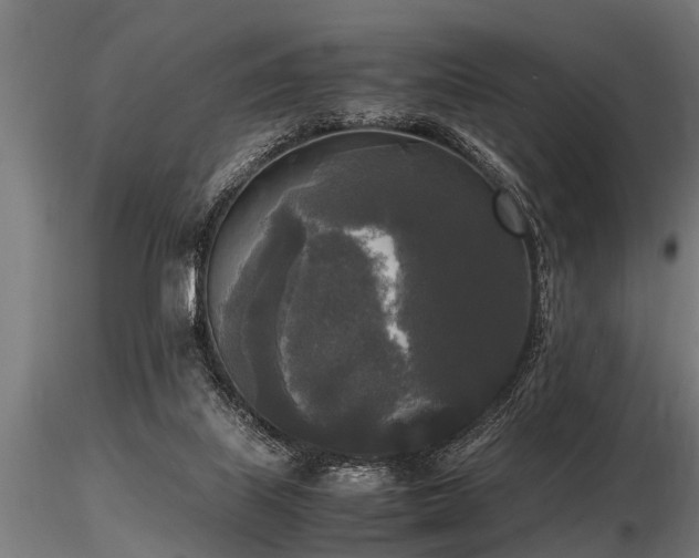 X0000116580067200912101549