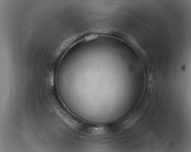 X0000116580068200912101549