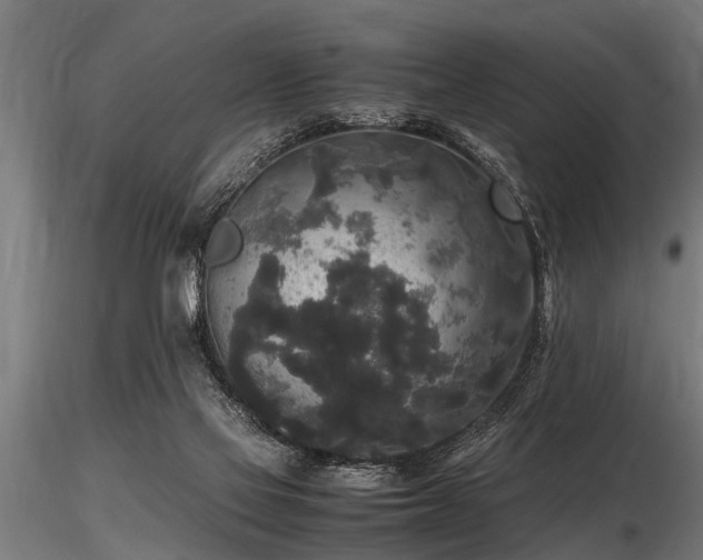 X0000116580069200912101550