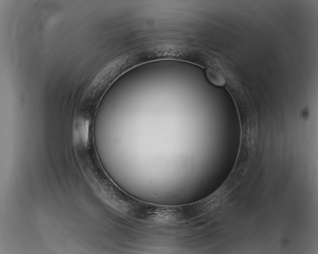 X0000116580070200912101550