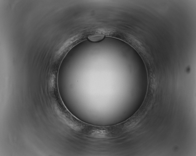 X0000116580071200912101550