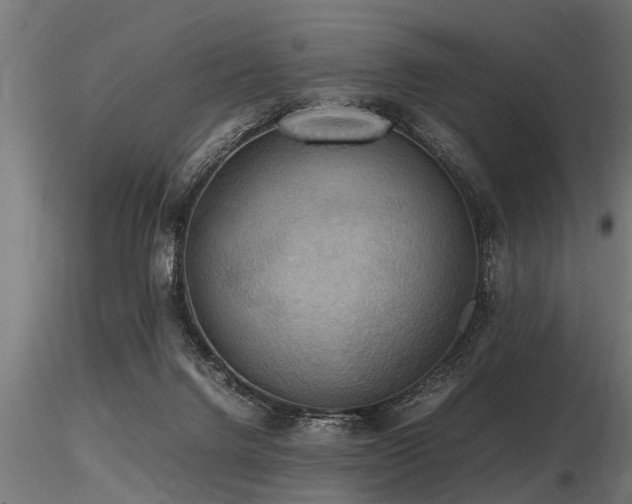 X0000116580072200912101550