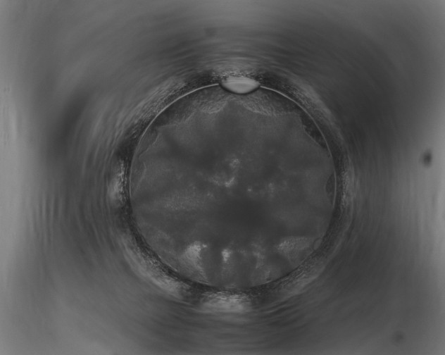 X0000116580073200912101550