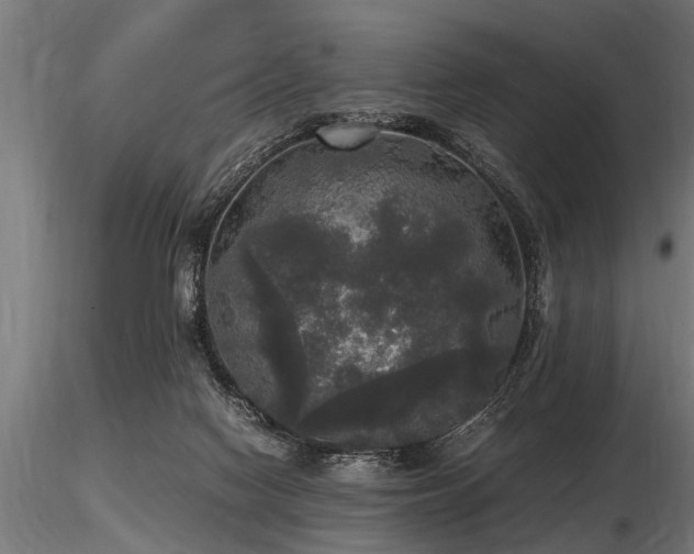 X0000116580074200912101550