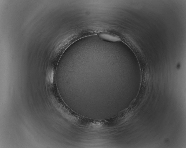 X0000116580076200912101550