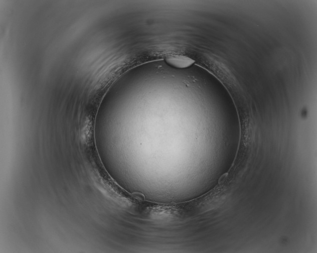 X0000116580077200912101550