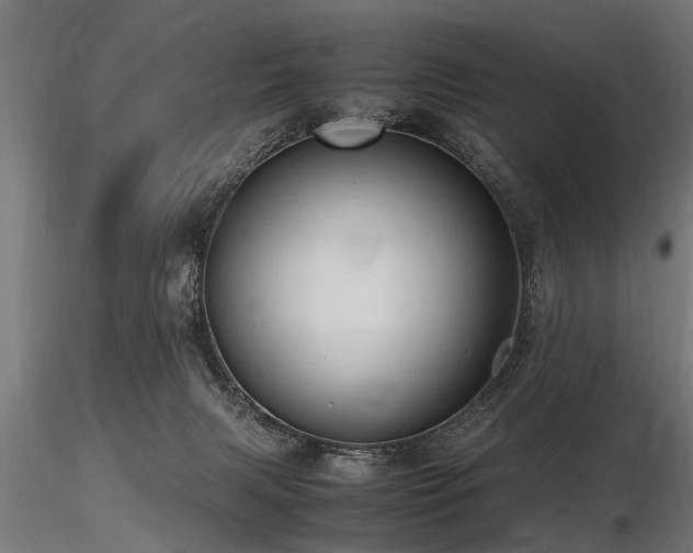 X0000116580079200912101550