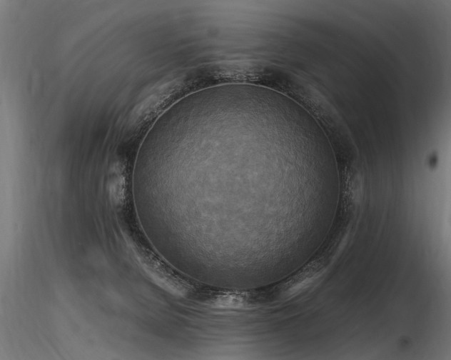 X0000116580080200912101550