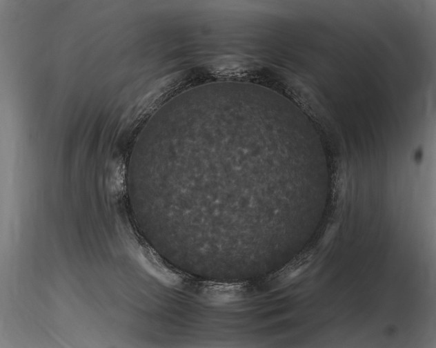 X0000116580081200912101550