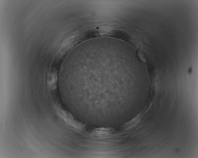 X0000116580082200912101550